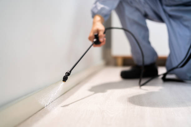 Best Pest Prevention Services  in Mcadoo, PA