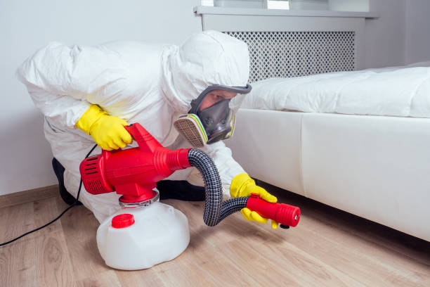 Best Termite Control Services  in Mcadoo, PA