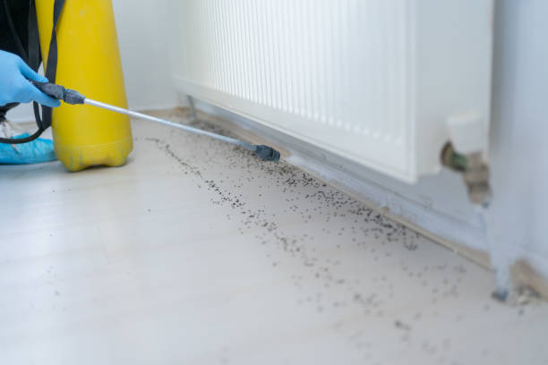 Best Exterminator Services  in Mcadoo, PA