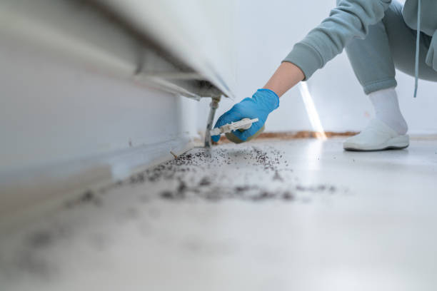 Best Commercial Pest Control Services  in Mcadoo, PA